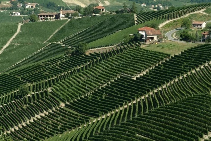 北部イタリアワインの重要ポイント講座　～イタリアが好きになる！得意になる！～