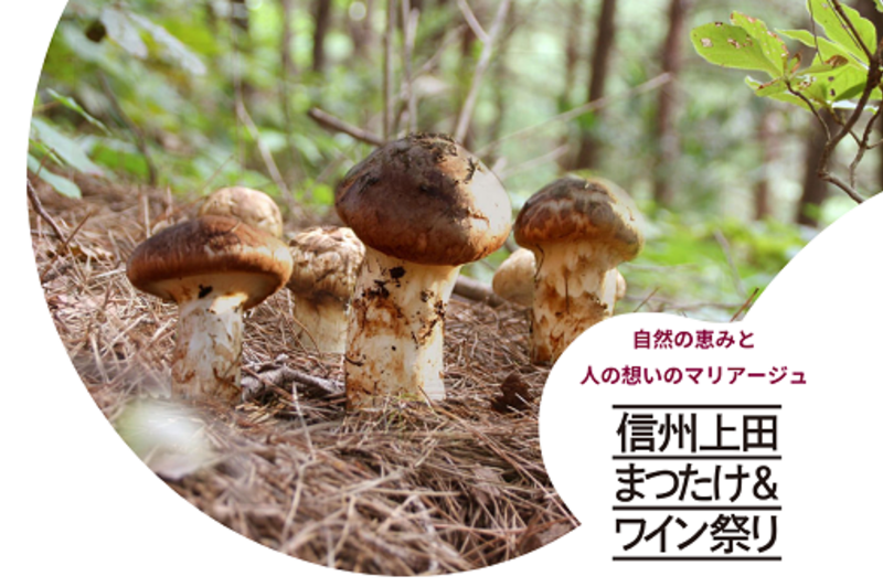 信州上田まつたけ＆ワイン祭り2025