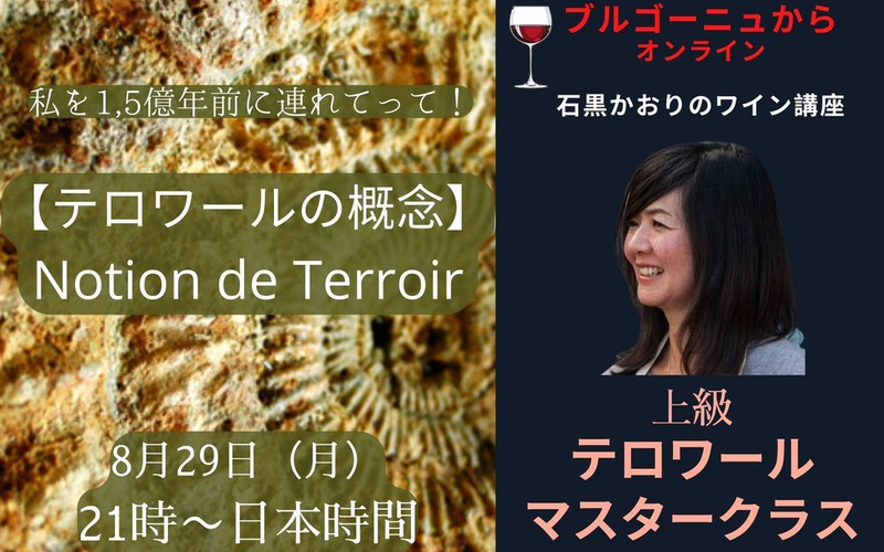 22年のワインイベント ワイン会情報 ワインリンク