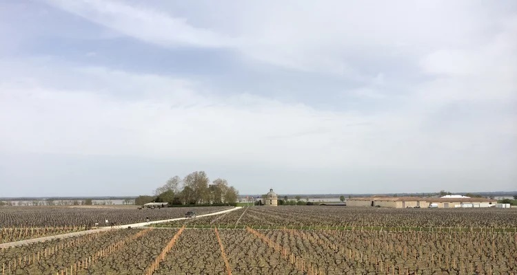 イベント名