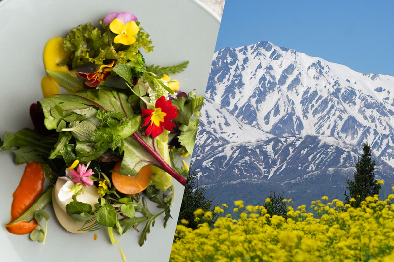 甲信アルプスの造り手が集う、春のワインイベント