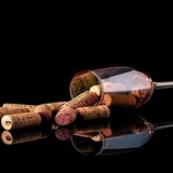 ワインと私たちの美しい成長 ～ワインの美味しくなった理由を探る旅～進化を楽しむブラインドテイスティング