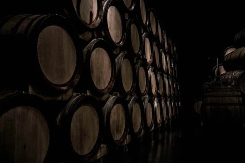 【特別セミナー】ベガシシリア長期熟成ワインとスペイン最新トレンドを徹底解剖