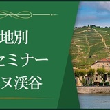 【産地別1dayセミナー】ローヌ渓谷 ~異形の大地と太陽のワイン~ ※Step-Ⅱ各回受講