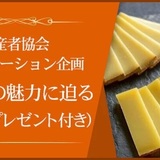 コンテチーズ生産者協会コラボレーションプロモーション講座企画 「コンテAOPの多様な魅力」~ジュラの伝統チーズとワインとのペアリング~