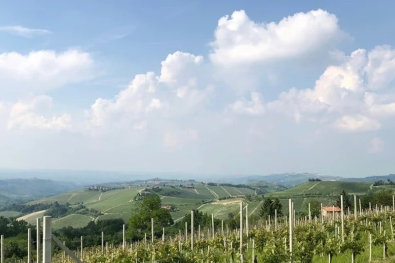 北部イタリアワインの重要ポイント講座～イタリアが好きになる！得意になる！～