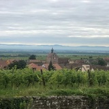 歴史で巡るフランス銘醸地 〜アルザス