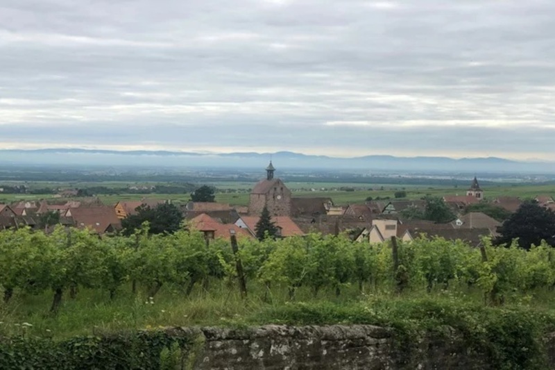 歴史で巡るフランス銘醸地 〜アルザス
