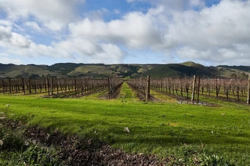 カリフォルニア〜品種で産地を探検しよう