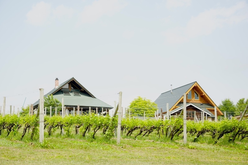 ［ツアー］ワインの味は大地が決める！ YAMAZAKI WINERYで北海道・三笠のテロワールを紐解く旅