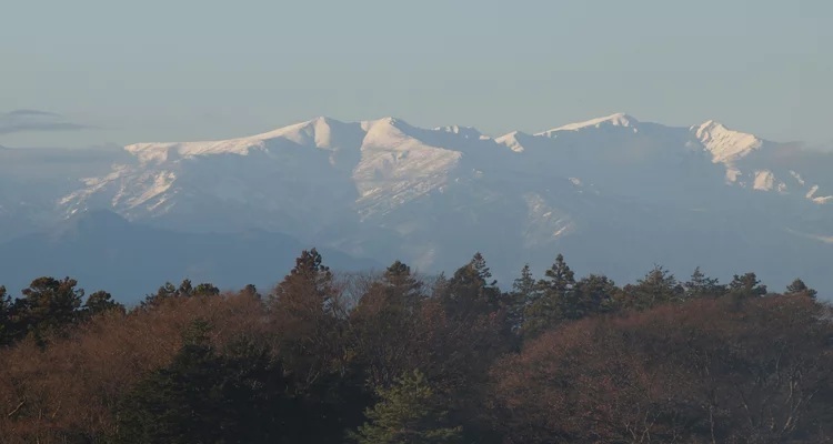 イベント名