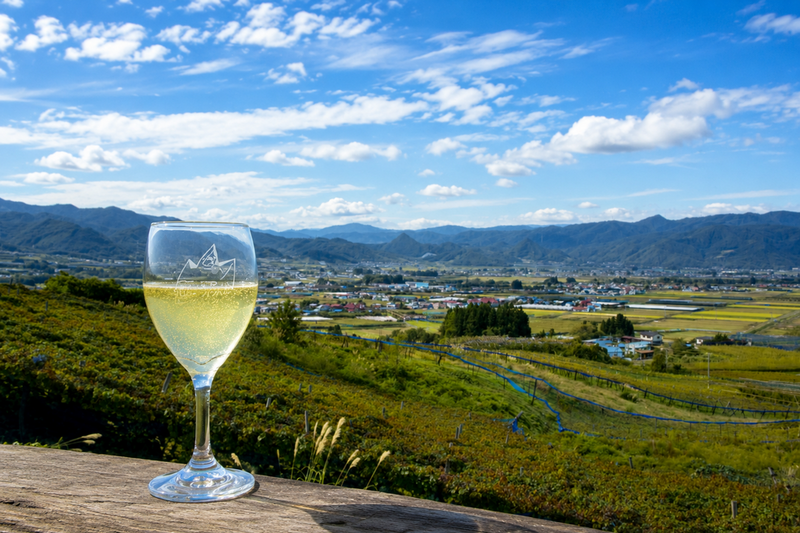 夏の風を飲む。かみのやま白ワイン旅