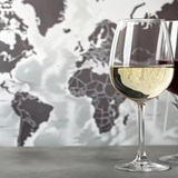 Enjoy tasting!!ワインで巡る世界旅行！　ワイン「学」からワイン「楽」へ！