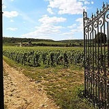 ブルゴーニュの精髄 2 Côte de Nuits 1996