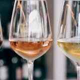Back to Basic of Tasting ～基礎がためは後から出来ない基礎こそ王道！ティスティング力強化講座