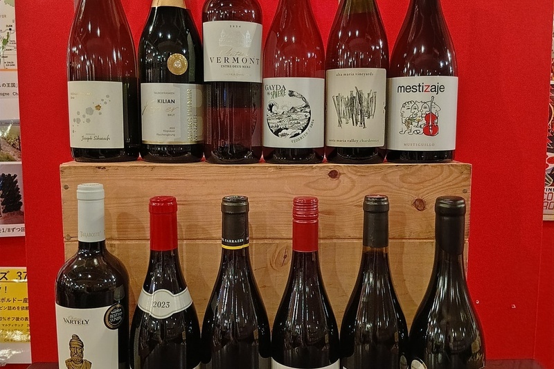 試飲販売会　12種類ワインテイスティング🍷