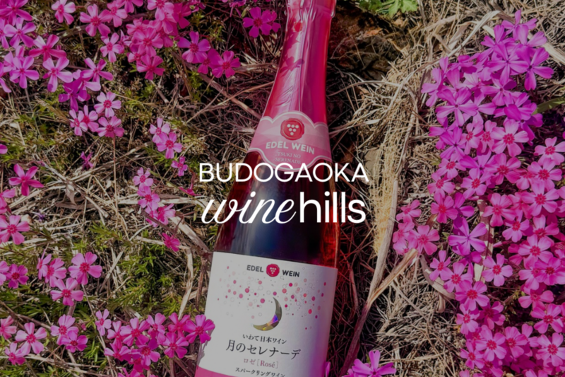 葡萄が丘ワインヒルズ in Spring