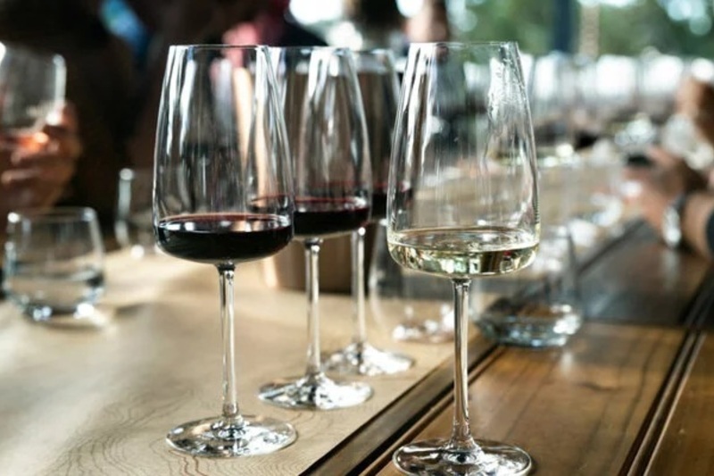 Wine Tasting Foundation ～主要品種を押さえ、基礎を固める～