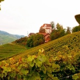 ドイツワイン王子のドイツワイン最高！はじまりはツン・ヴォール（乾杯）から