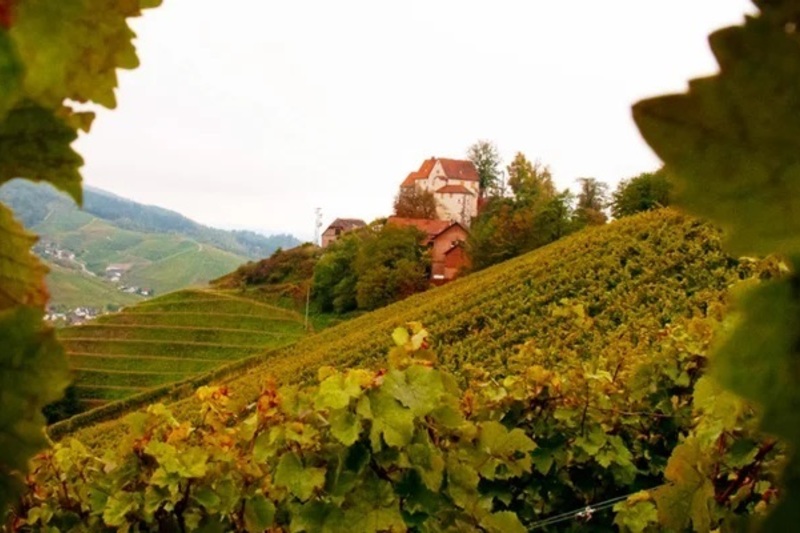 ドイツワイン王子のドイツワイン最高！はじまりはツン・ヴォール（乾杯）から