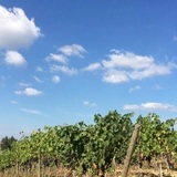 イタリアの精髄 Brunello di Montalcino Riserva 1995