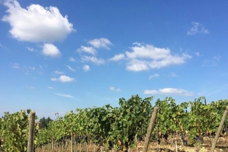 イタリアの精髄 Brunello di Montalcino Riserva 1995