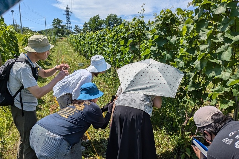 ［ツアー］北の大地のワインを訪ねて―２つのワイナリーと「シン・みかさワインFestival 2025」で三笠のワインを飲み比べ