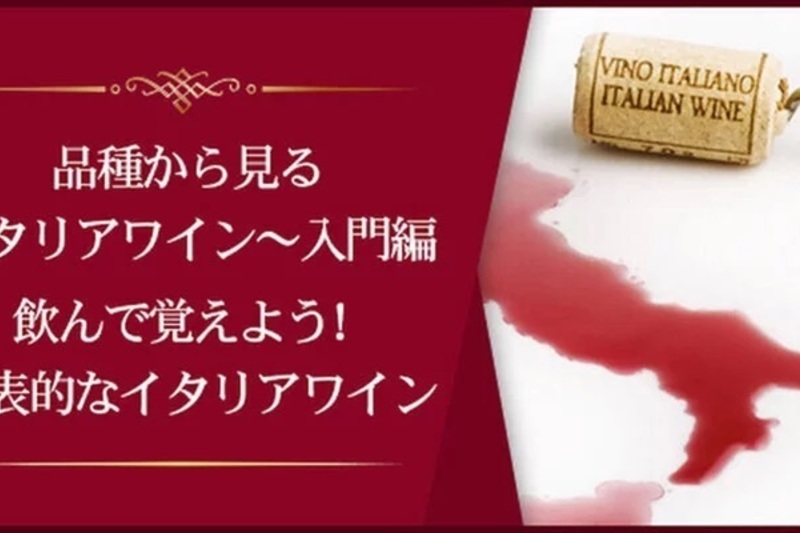新！品種から見るイタリアワイン入門飲んで覚えよう！イタリアの代表ワイン