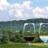 日本ワインのG.I.を味わう山梨、北海道、山形、長野、大阪のワイン