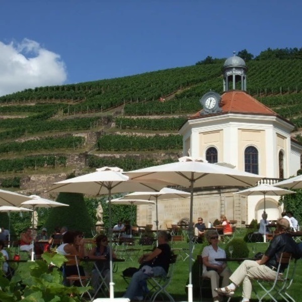 ドイツから生中継 ドイツワイン オンラインセミナー 試飲 初級編 モーゼル地方 10月9日 金 21日 水 19 00 日本時間 開催 ワインリンク