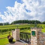 【生産者共催セミナー】世界が注目する北海道 余市•仁木のテロワール― NIKI Hills Winery の挑戦