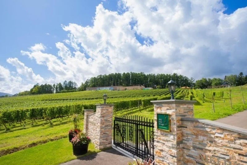 【生産者共催セミナー】世界が注目する北海道 余市•仁木のテロワール― NIKI Hills Winery の挑戦