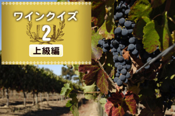 めざせワイン知識王！ワインクイズ【上級編】vol.2　～ブドウ品種について