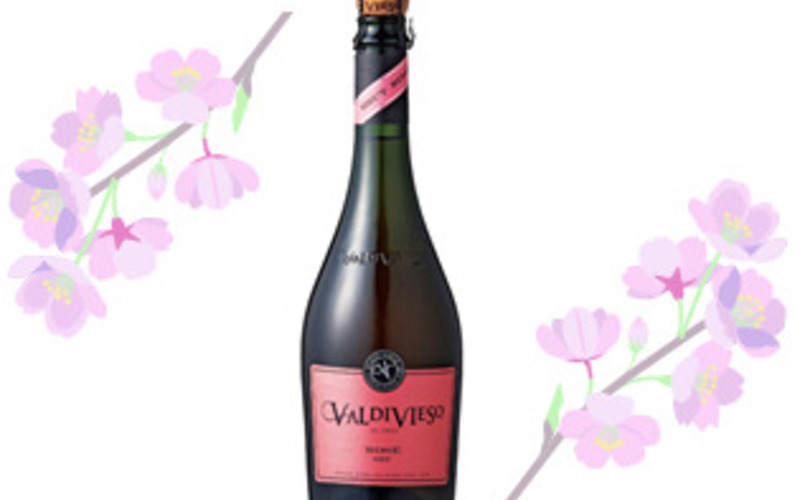 春といえばやっぱりロゼ！桜の下で乾杯しよう！