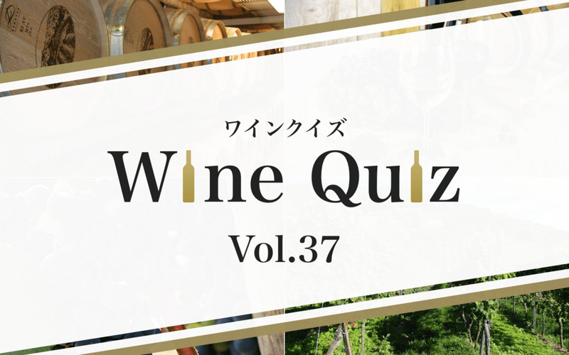 珍品'90WCイタリア・トスカーナ州Yellow Pages ツーリスト向け 珍品'90WCイタリア・トスカーナ州Yellow Pages ツーリスト向け