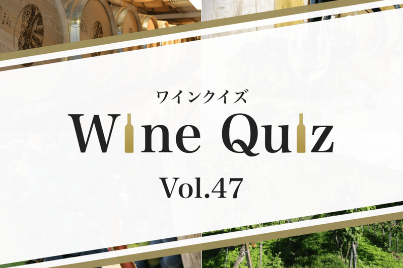 ワインクイズ Vol.47 サービス＆マナー②