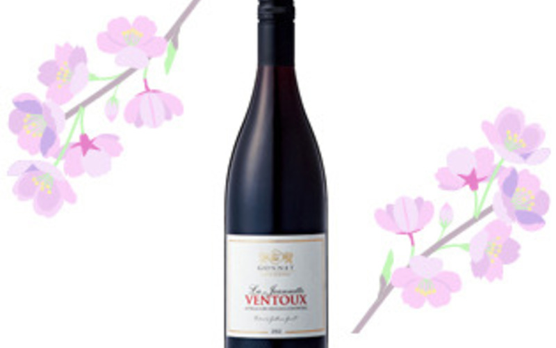 桜の下でゆっくりと飲みたい、果実味豊かでバランスの取れたイチオシの赤ワイン