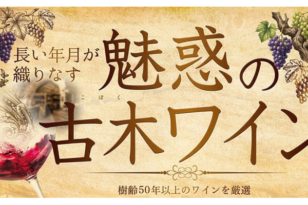 魅惑の「古木ワイン」特集