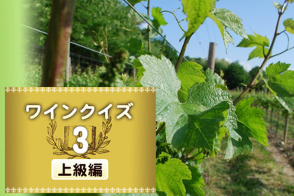 めざせワイン知識王！ワインクイズ【上級編】vol.3　～ブドウの生育について