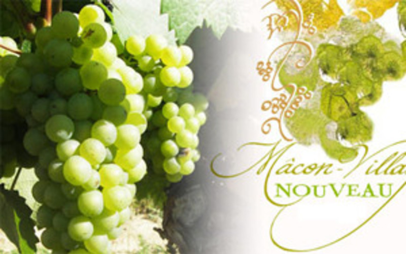 ボージョレ・ヌーヴォだけじゃない！２