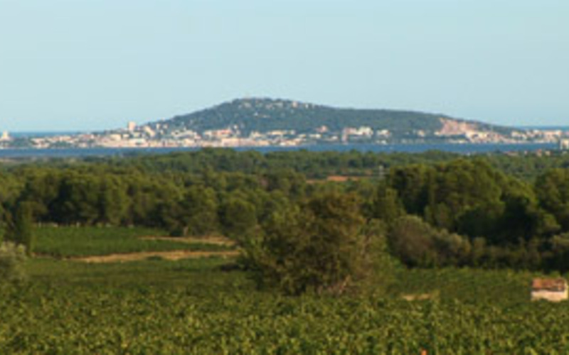 緑豊かな南仏の大地