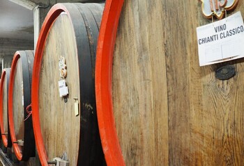 イタリアの代表的なワイン用語集