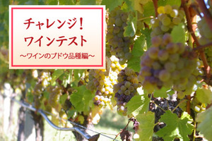 チャレンジ！ワイン5問テスト【ワインのブドウ品種編】(ワインを楽しむ 