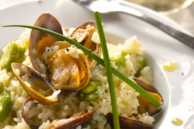 アサリとそら豆のクリームリゾット