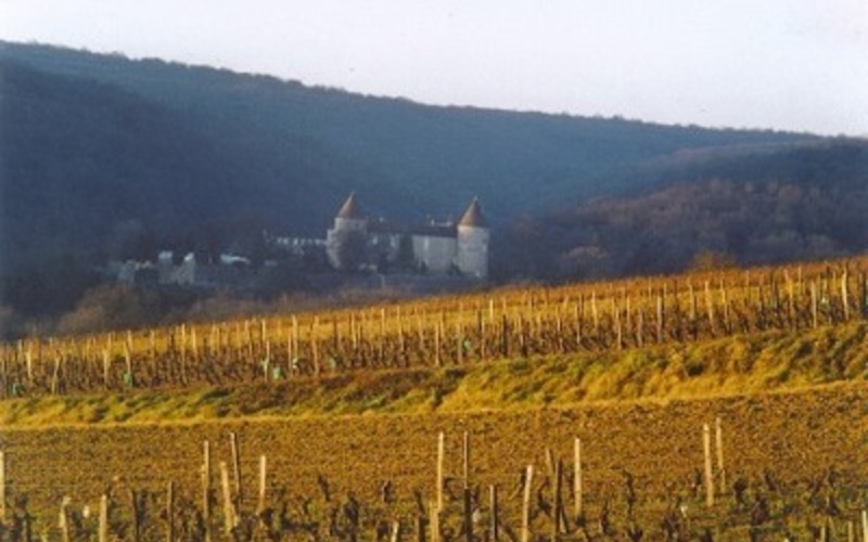 見捨てられていた古きワイン産地「クリュジーユ」の復権
