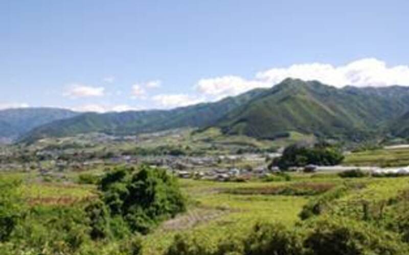 甲州の産地、山梨県・勝沼町