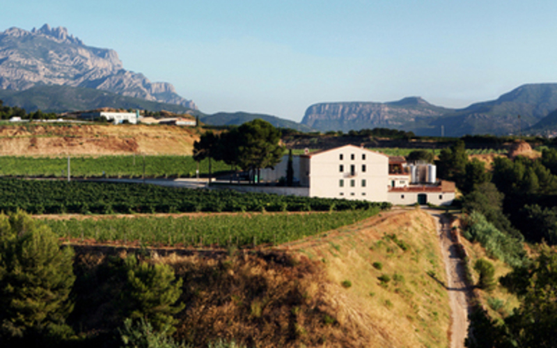 バルセロナの高級ワインショップがプロデュース！