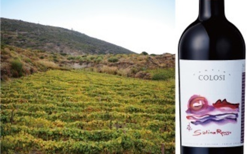 コローシのもう一つの魅力、世界自然遺産、サリーナ島の恵みのワイン！
