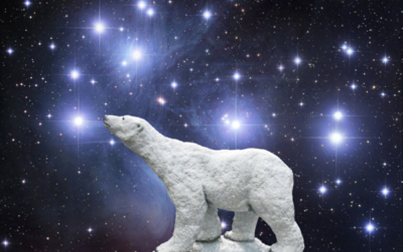 可愛い白クマが目印!(北極星がモチーフ!)