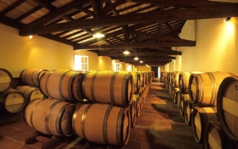 初めて樽発酵でボルドー辛口白ワインを造ったシャトー